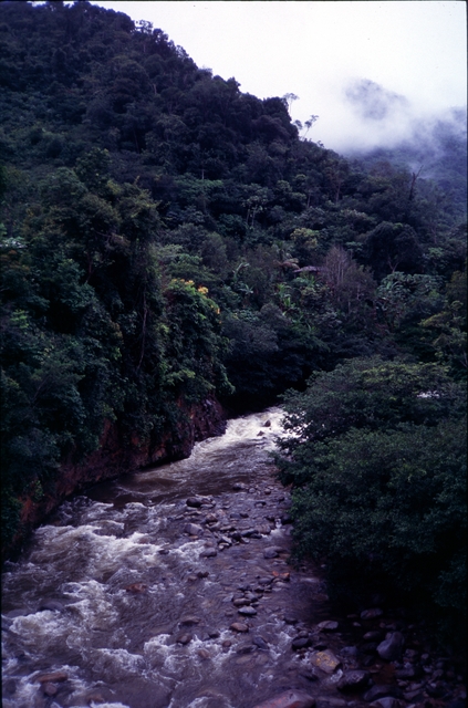 Colombia2006w-090