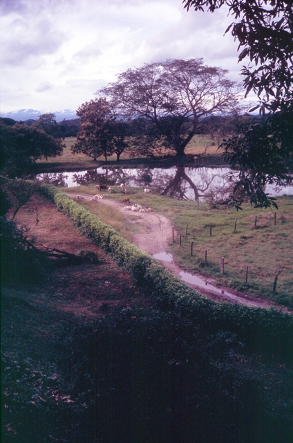 Colombia2006w-096