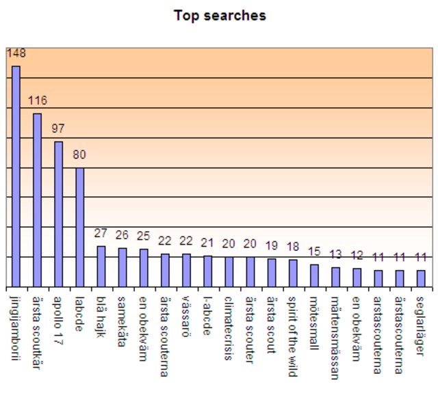 Top Searches 2007