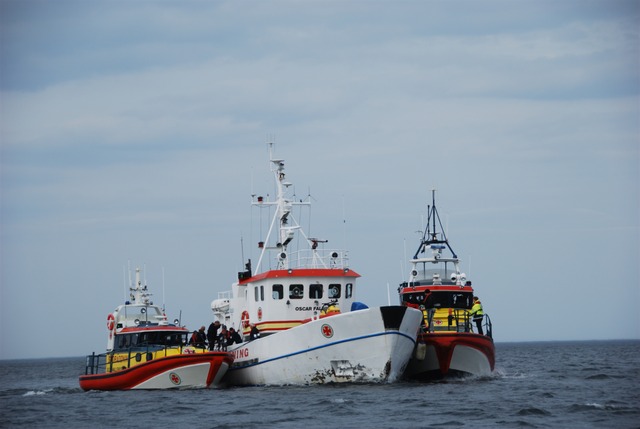 Vassaro_SSRS_2013-049