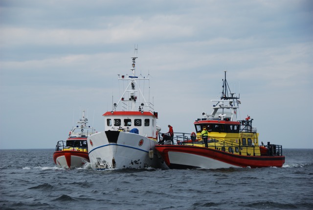 Vassaro_SSRS_2013-054