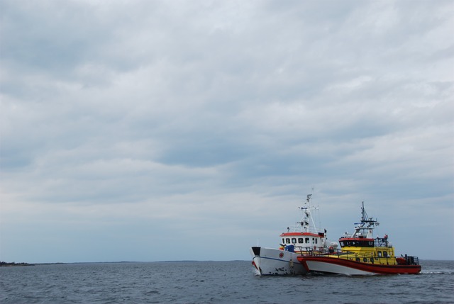 Vassaro_SSRS_2013-058