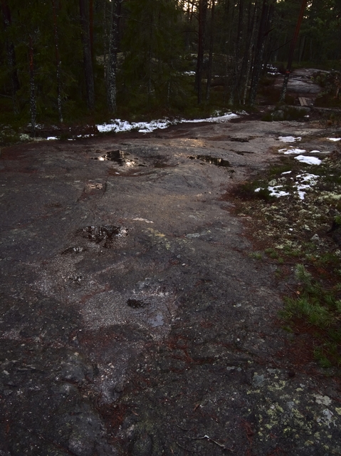 VindskyddTyresta20140216-017