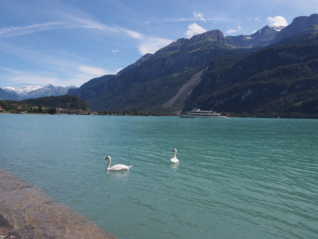 SwissVaccation_20140814-039