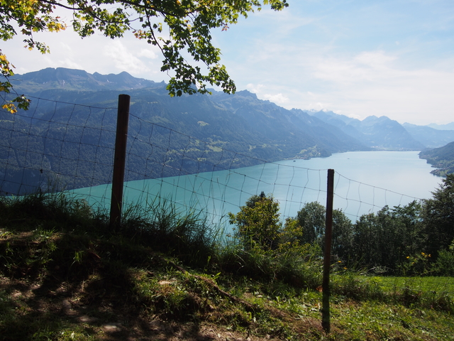 SwissVaccation_20140814-056