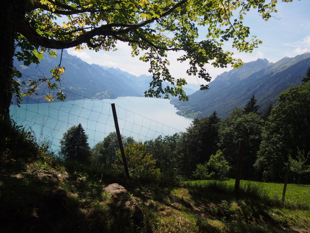 SwissVaccation_20140814-057