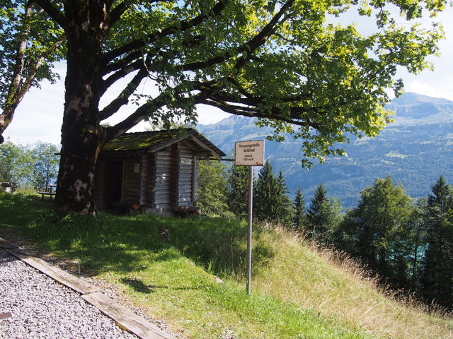 SwissVaccation_20140814-058