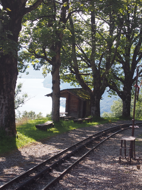 SwissVaccation_20140814-072