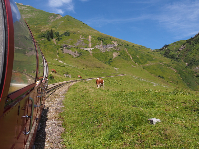 SwissVaccation_20140814-100