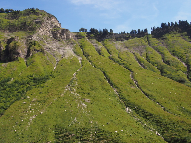 SwissVaccation_20140814-102