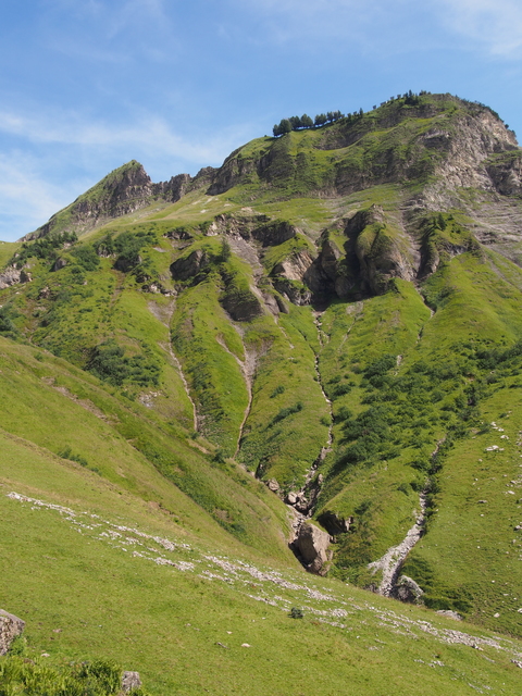 SwissVaccation_20140814-103