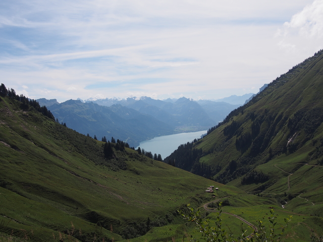 SwissVaccation_20140814-104