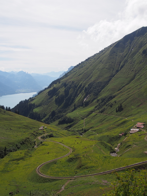 SwissVaccation_20140814-106