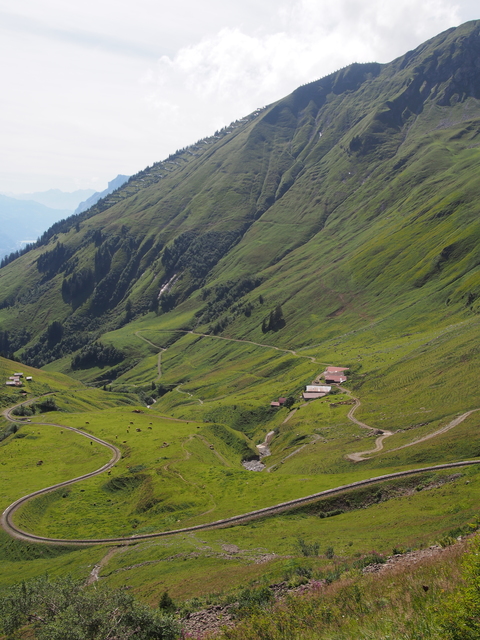 SwissVaccation_20140814-107