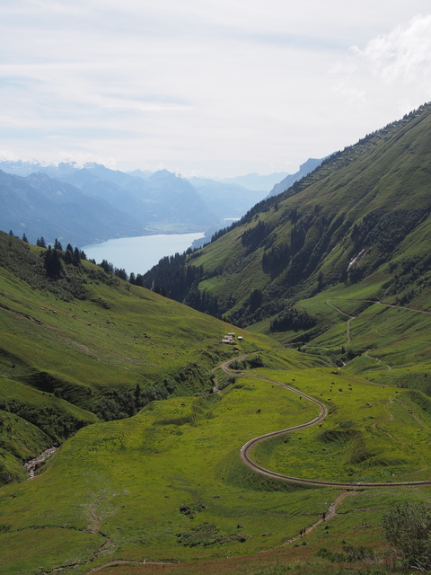 SwissVaccation_20140814-114