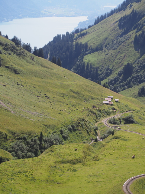 SwissVaccation_20140814-115