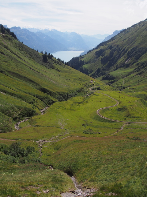 SwissVaccation_20140814-116