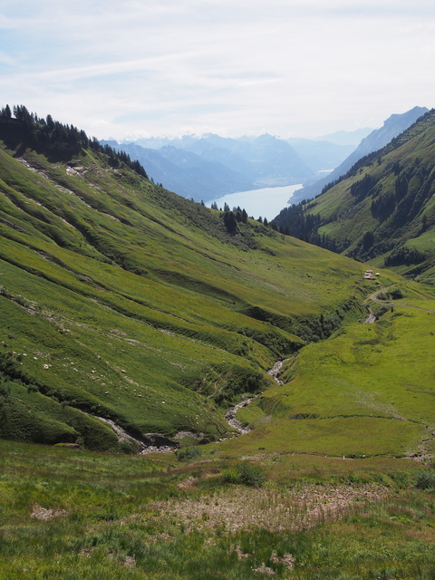 SwissVaccation_20140814-117