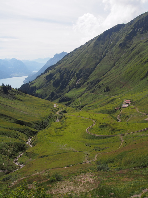 SwissVaccation_20140814-118