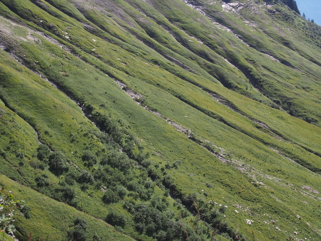 SwissVaccation_20140814-119