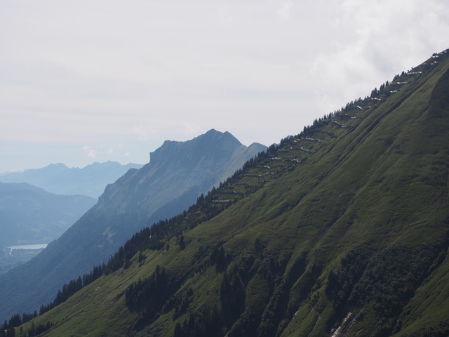 SwissVaccation_20140814-120