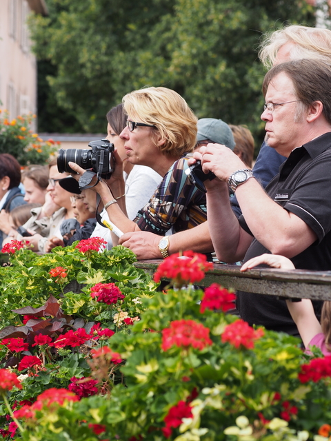 SwissVaccation_20140814-327