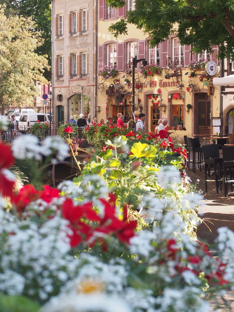 SwissVaccation_20140814-340