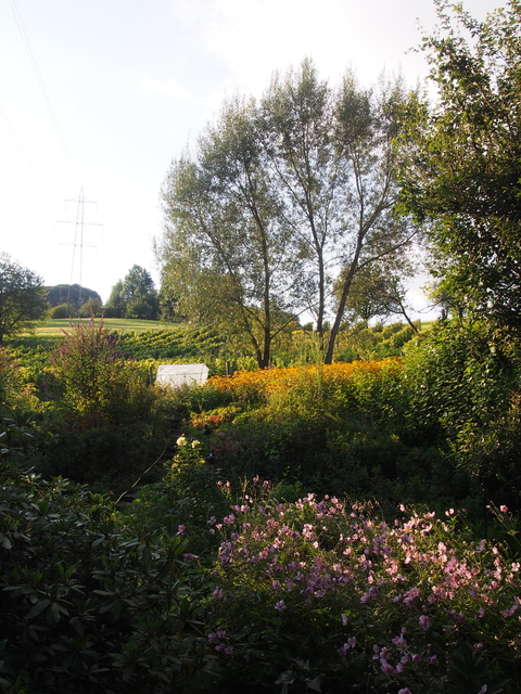 SwissVaccation_20140814-360
