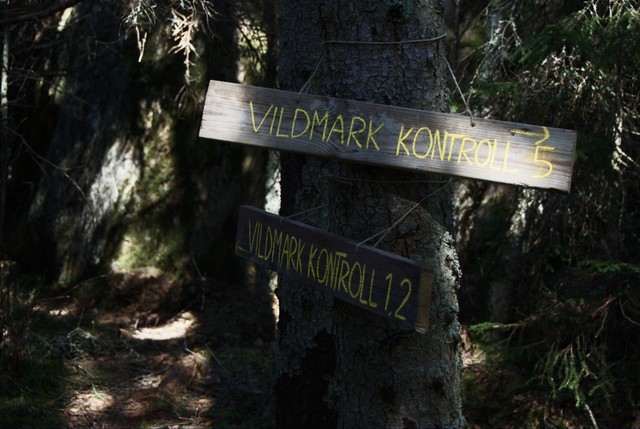 Wilderness trail road sign
